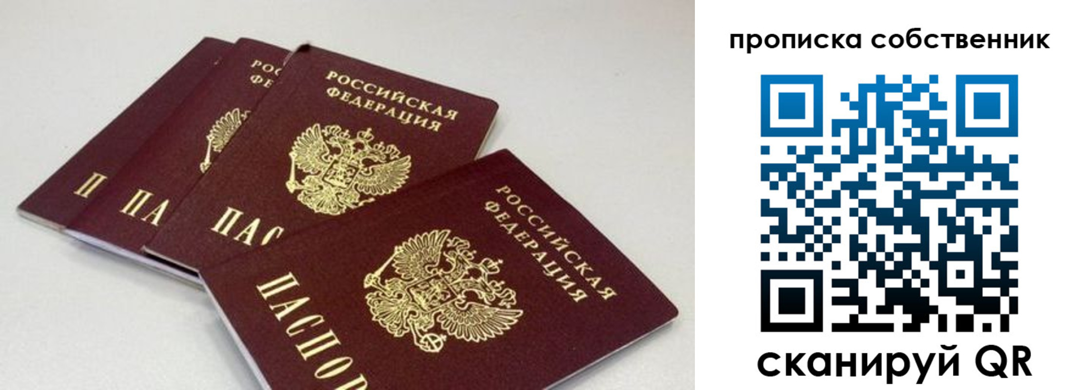 где прописаться в Острогожске